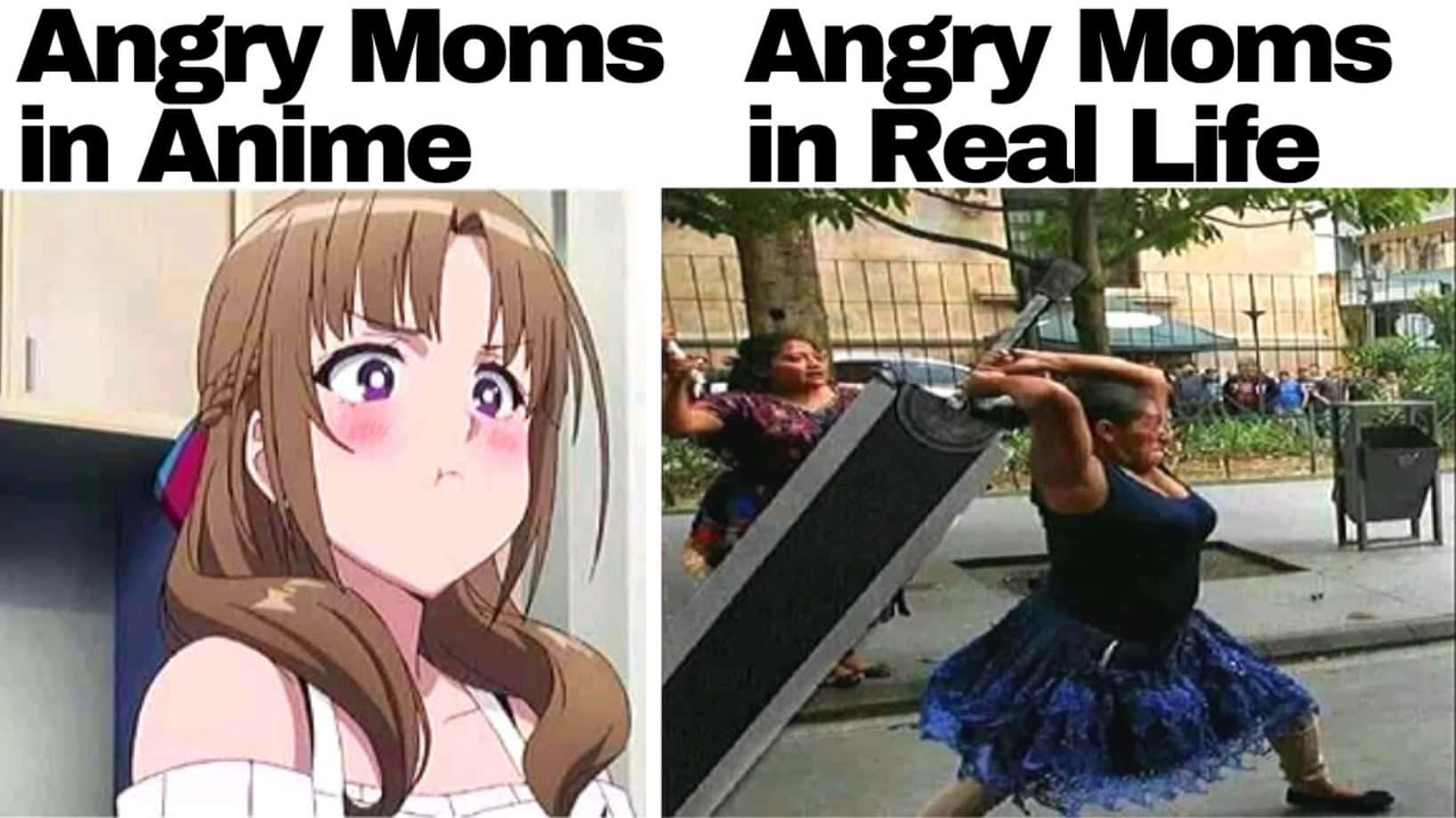 Anime Meme Picture Wallpaper
