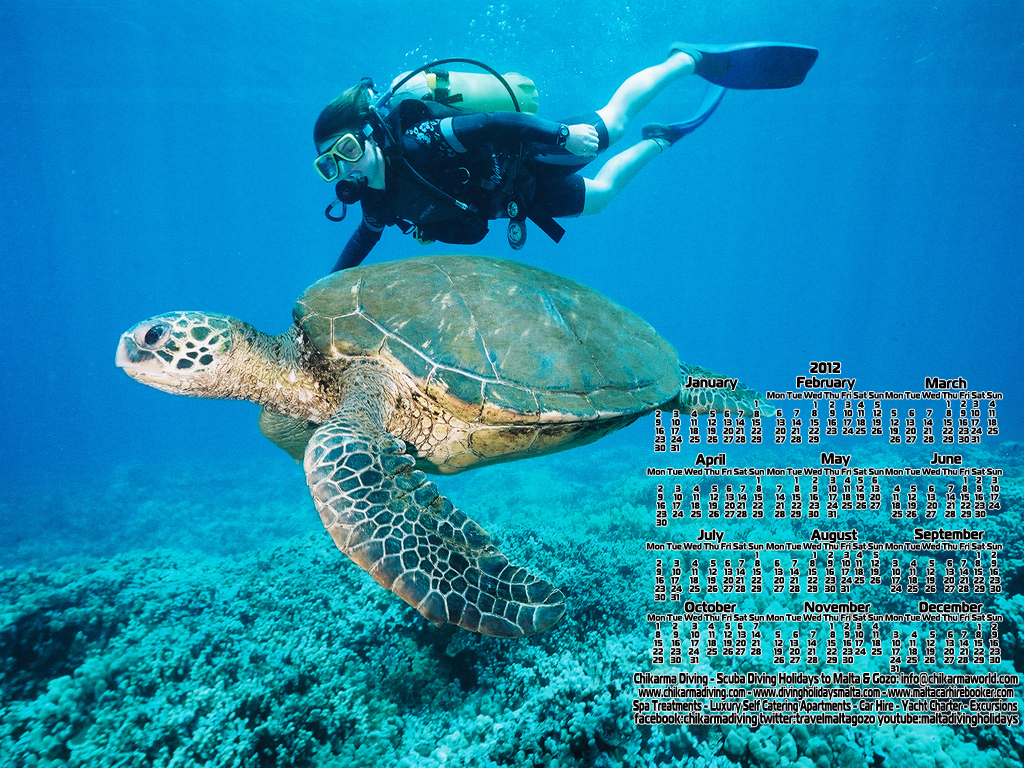  In Malta Gozo Amazing Scuba Diving 2012 Calendar Desktop Wallpaper