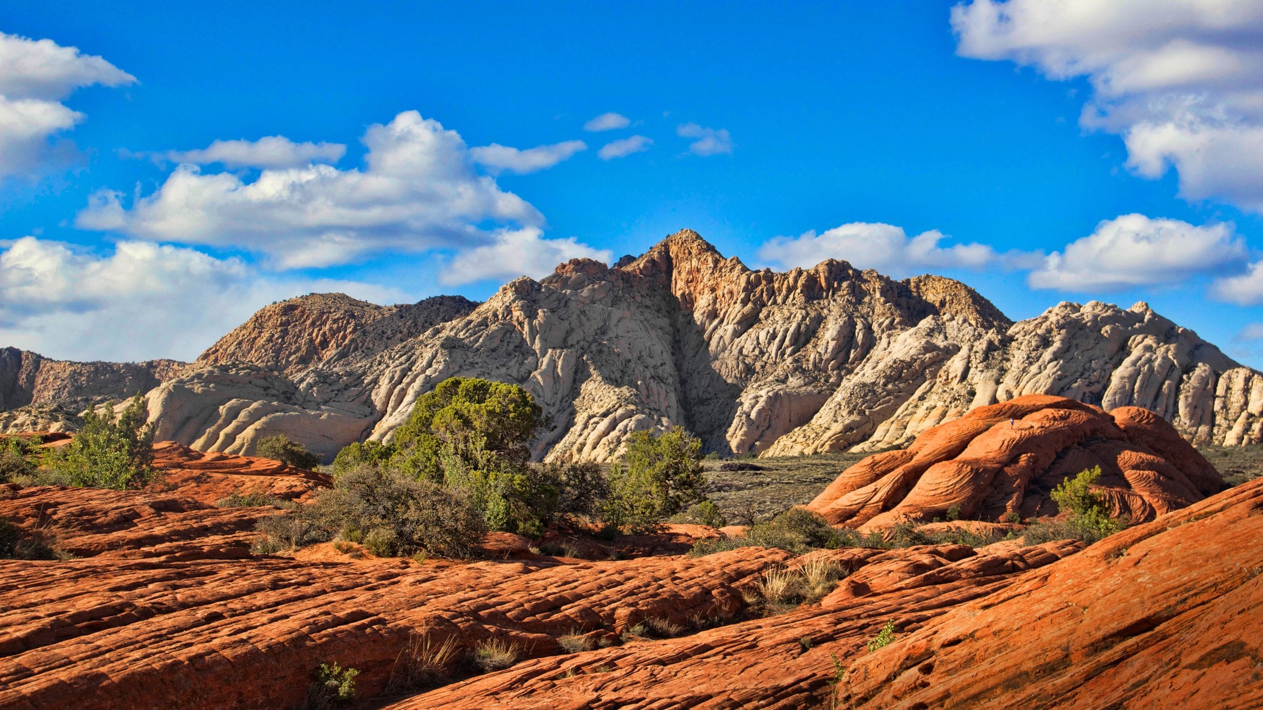 Visitez Saint George Wallpaper