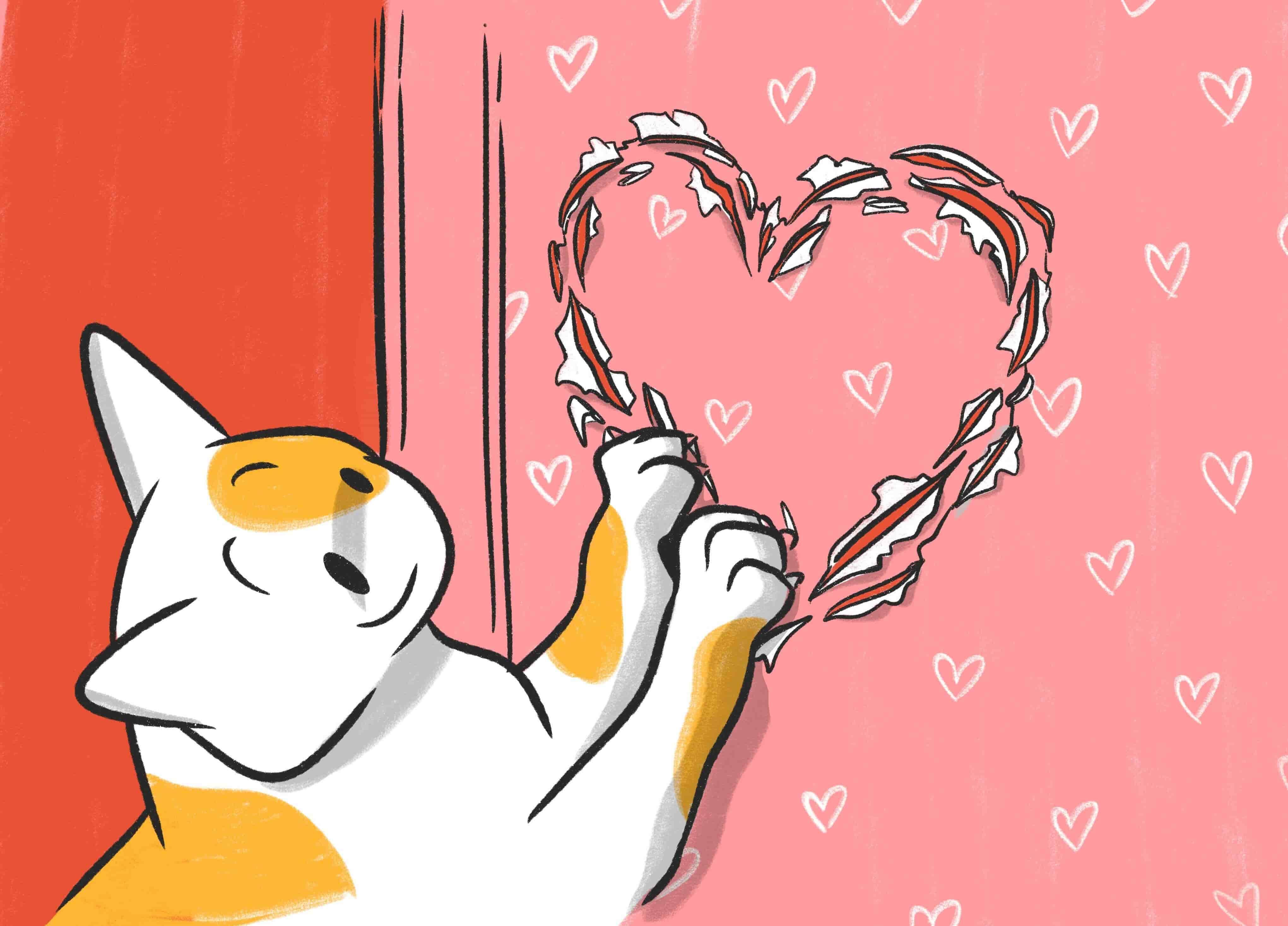 Dog Valentines Day Or Valentine Cat Ways To Celebrate St V