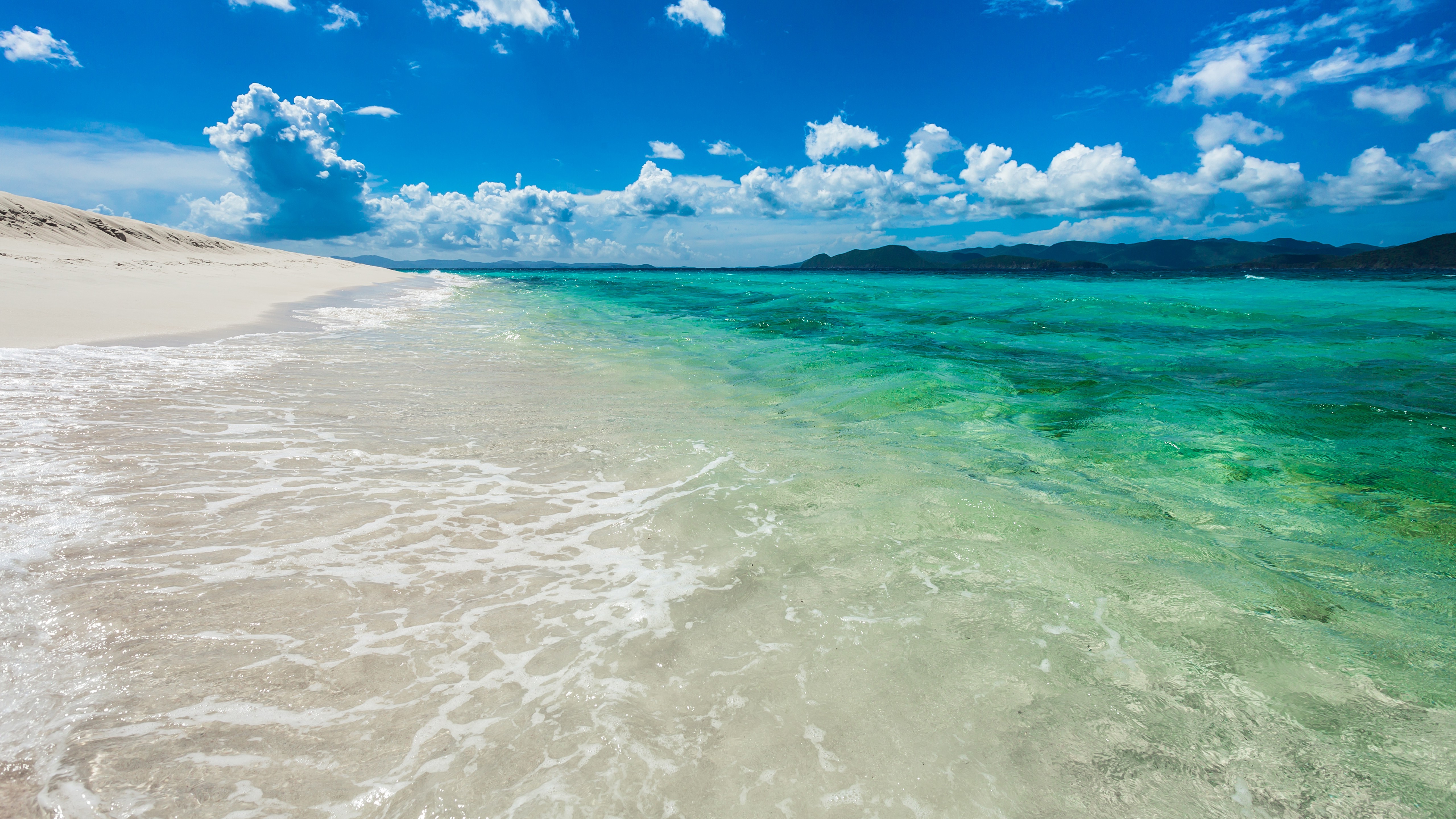 Tropical Turquoise Bliss Wallpaper