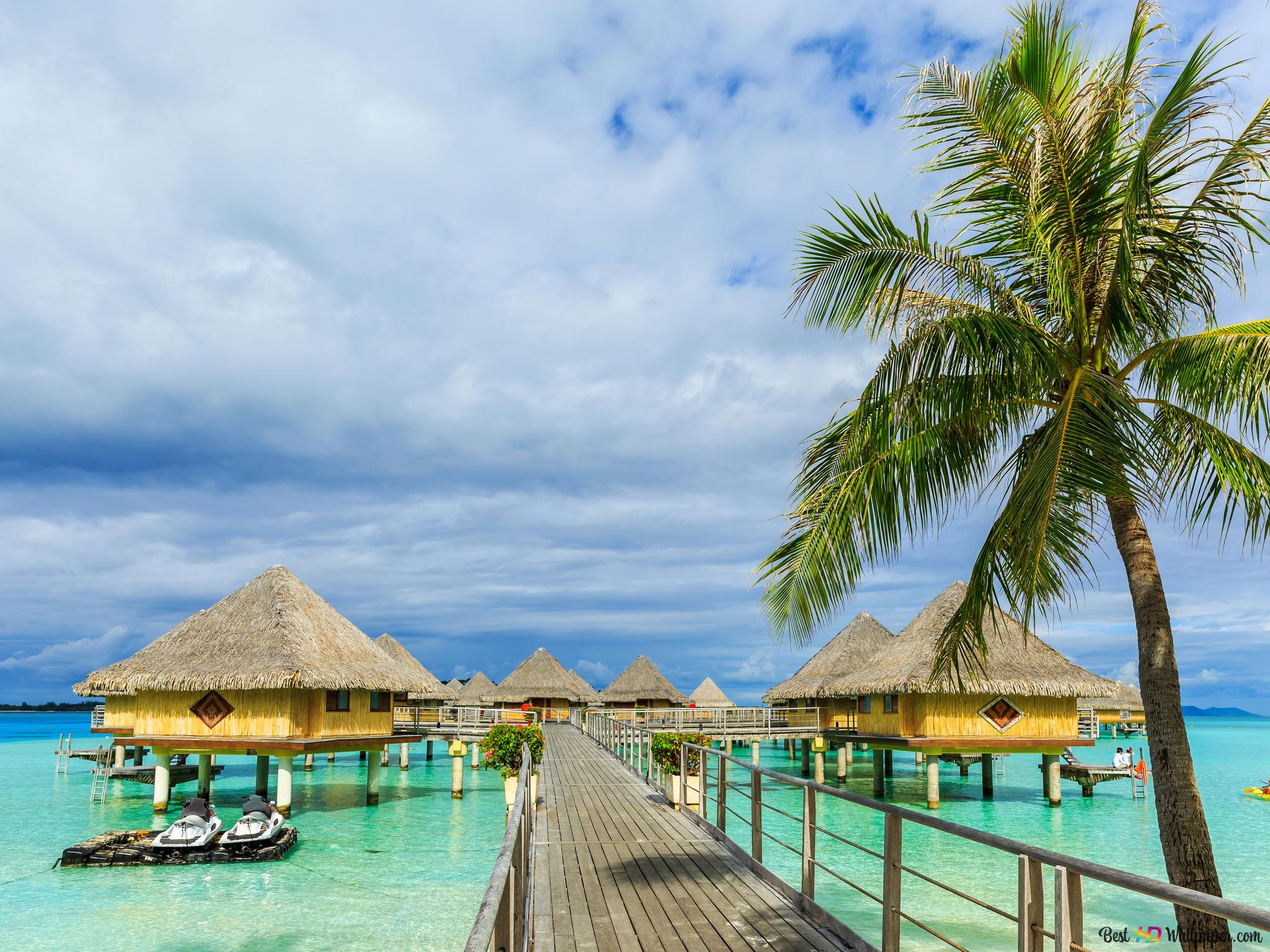 Vacation Wallpaper On