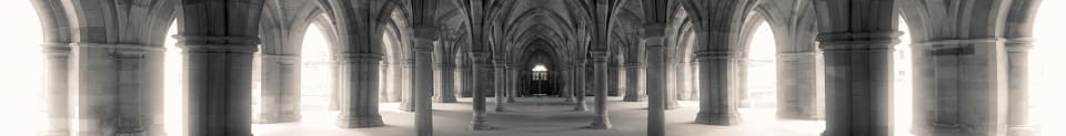 Great Vaults Wallpaper