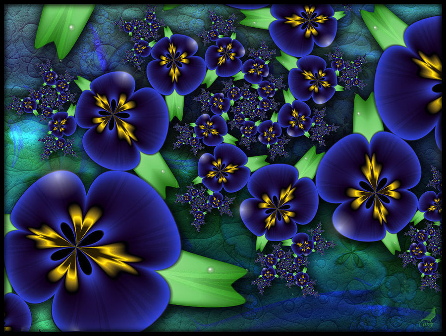 African Violets By Coby01