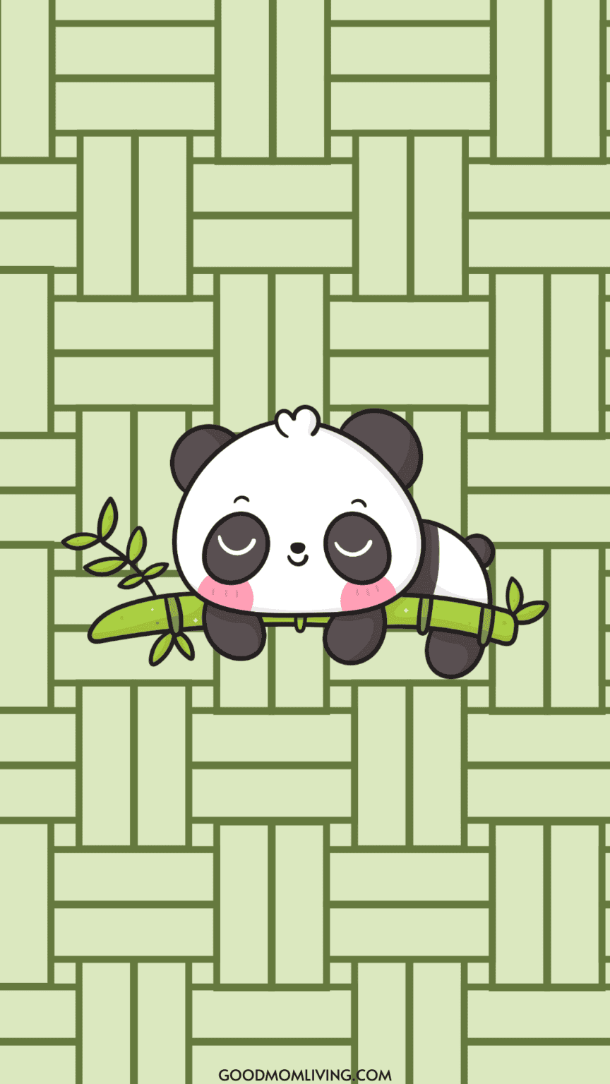 Bamboo Wallpaper iPhone HD For Mobile