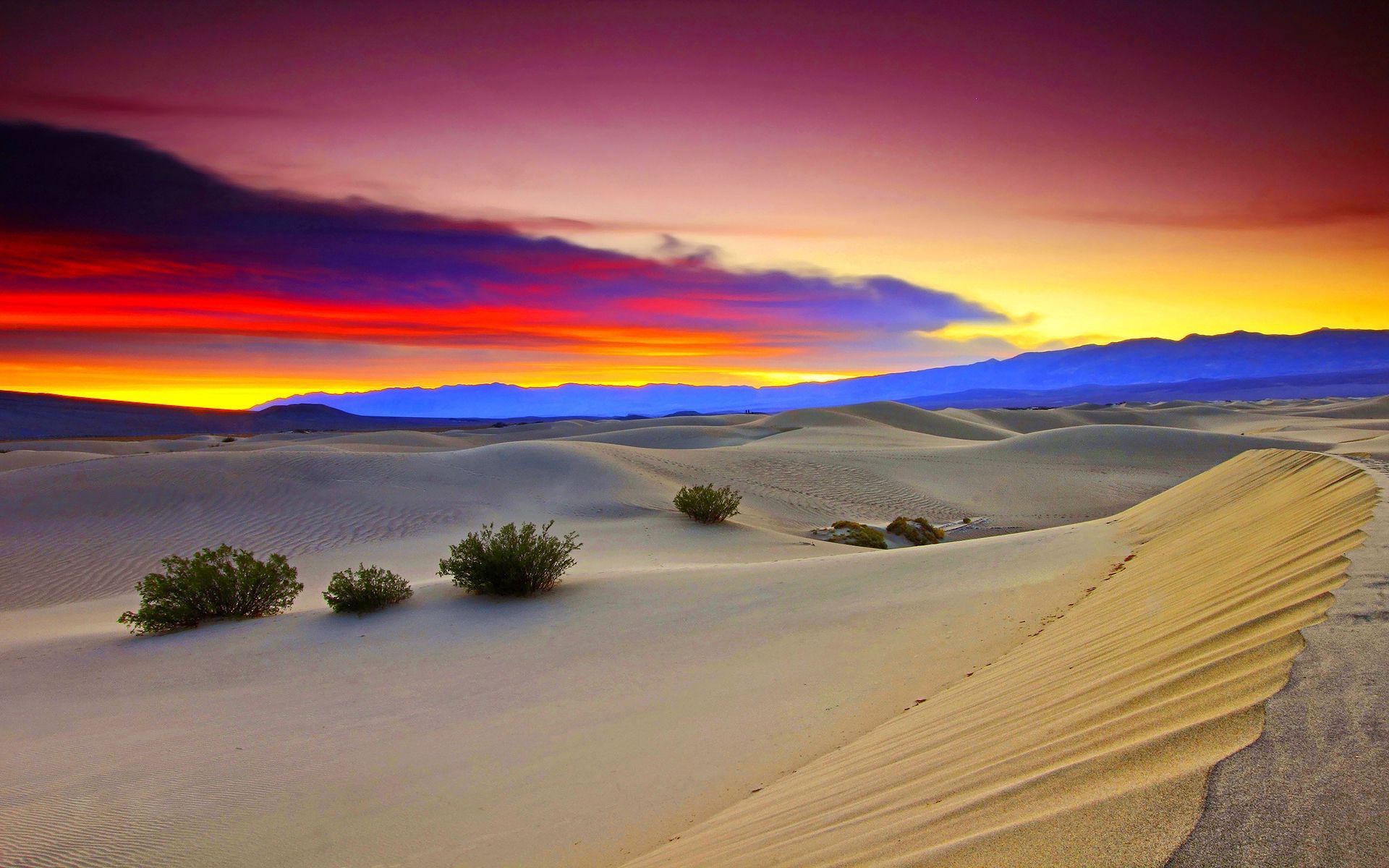 Hình nền cho máy tính của bạn sẽ thật đặc biệt với hình ảnh sa mạc đẹp mắt. Tận hưởng vẻ đẹp hoang sơ của sa mạc cùng với các tác phẩm nghệ thuật độc đáo, bạn sẽ không thể rời mắt khỏi màn hình.