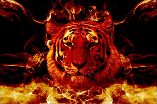 Awesome Fire Wallpaper Flaming Tiger