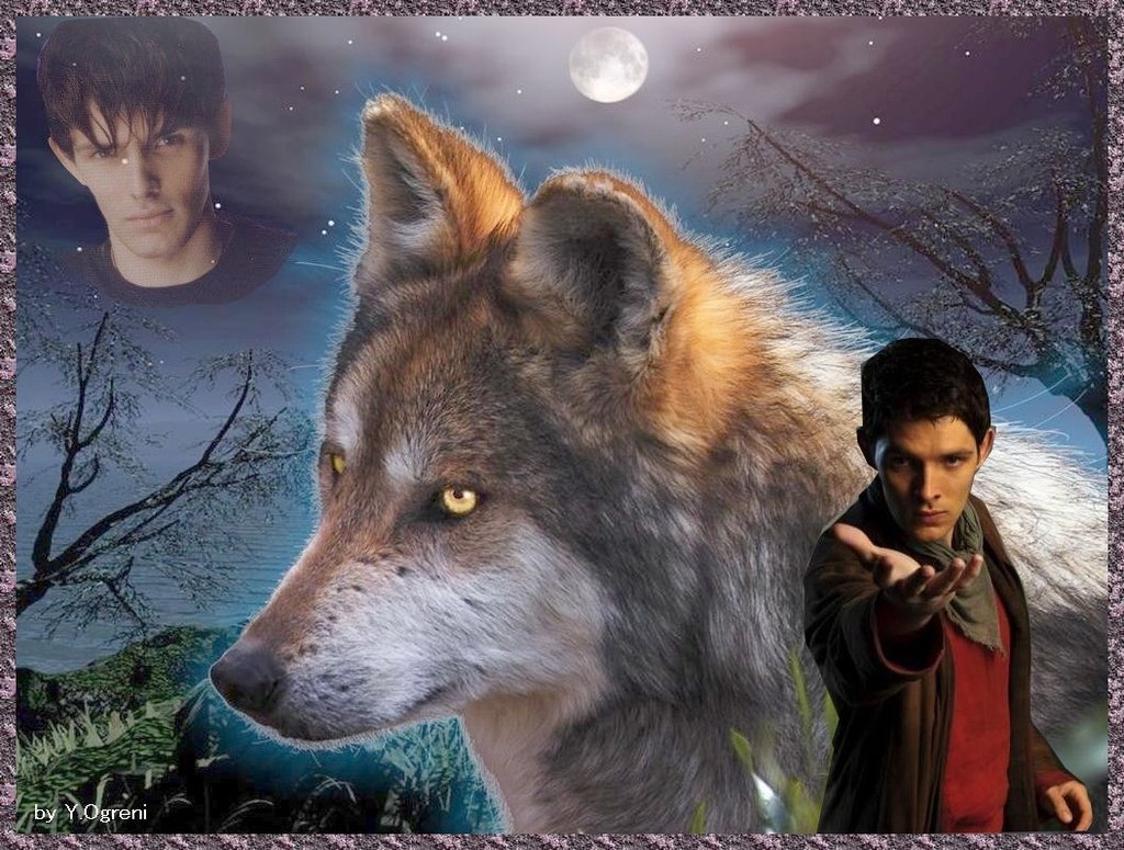 Fantasy Wallpaper Desktop Wolf Background By Yogreni