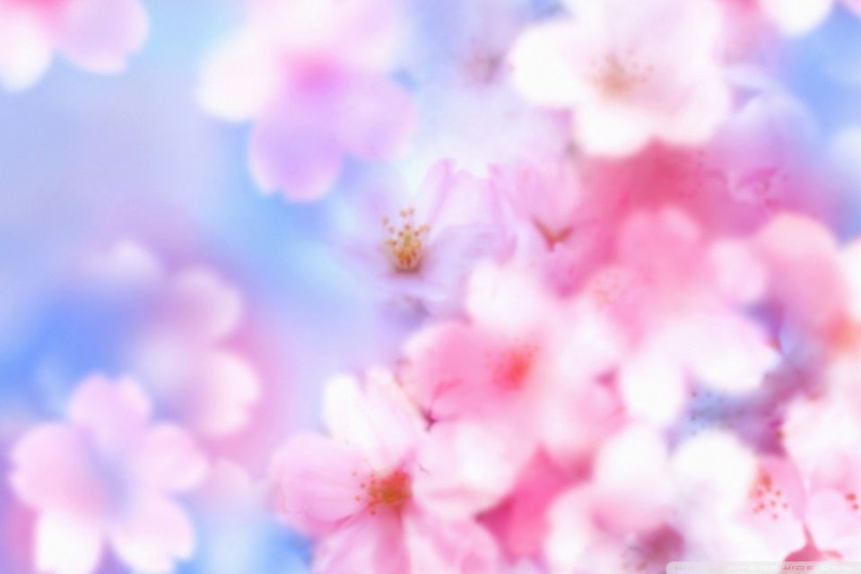 Spring Desktop Wallpaper Widescreen Coolstyle