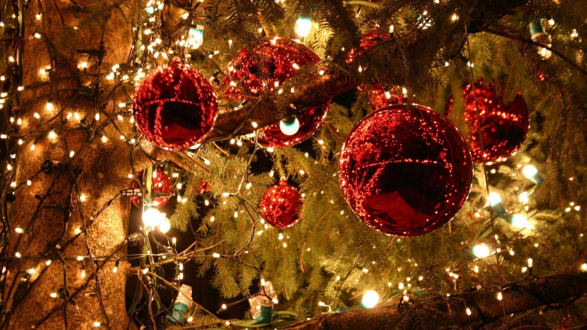 Cùng với những bóng đèn led đầy màu sắc và rực rỡ, một cây thông Giáng sinh trang trí đẹp sẽ là điều mà bất cứ ai cũng muốn sở hữu trong nhà mình. Hãy ngắm nhìn cây thông tuyệt đẹp này và đắm chìm trong không gian nghỉ ngơi đáng nhớ nhất.