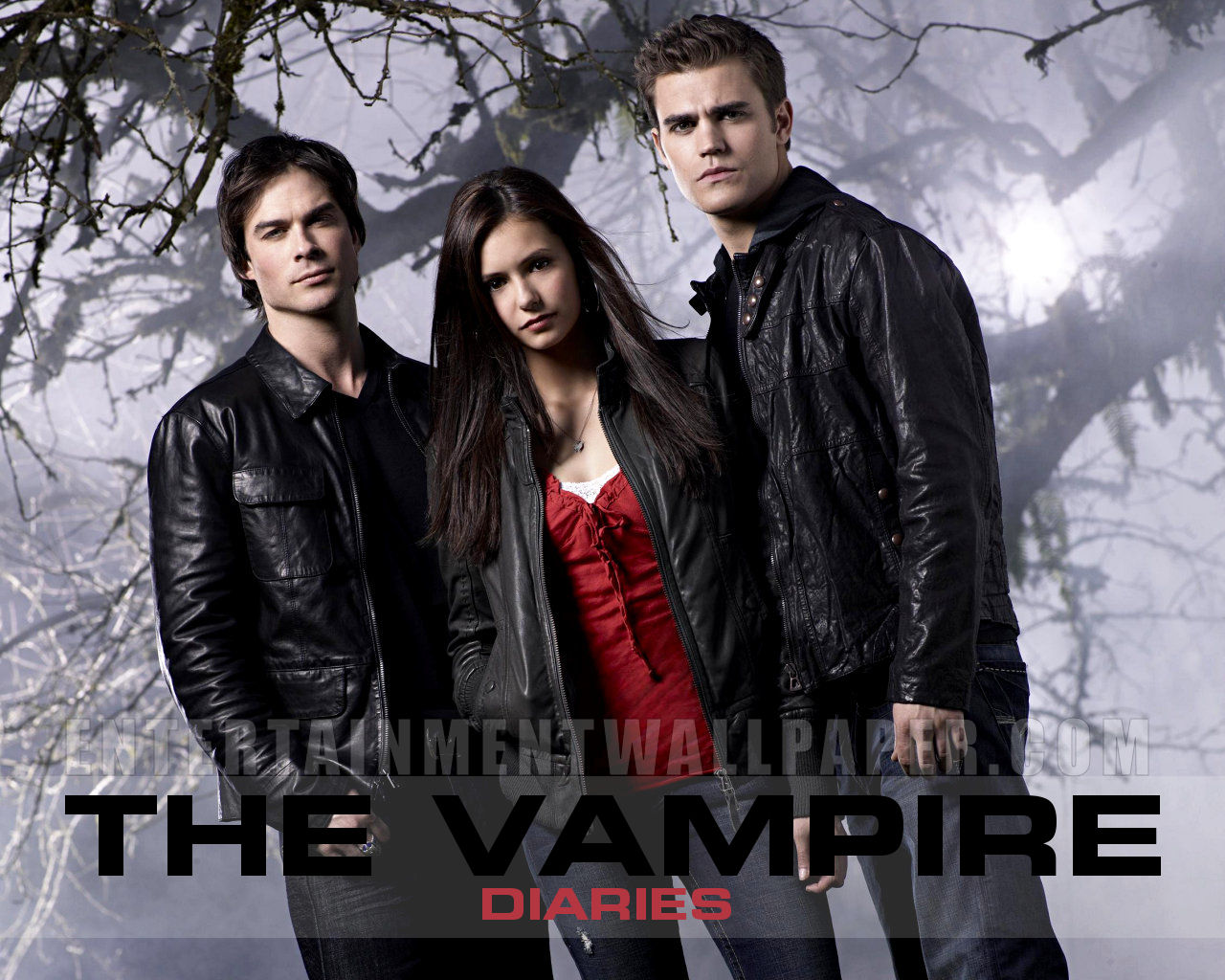 The Vampire Diaries HD Wallpaper Tv Season