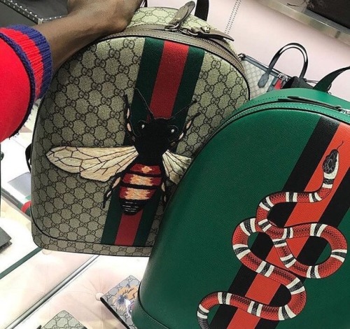 Free download gucci snake Tumblr [500x470] for Desktop, & Tablet | Explore 96+ Gucci Snake Wallpaper | Gucci Wallpaper, Gucci Wallpaper, Gucci Wallpapers