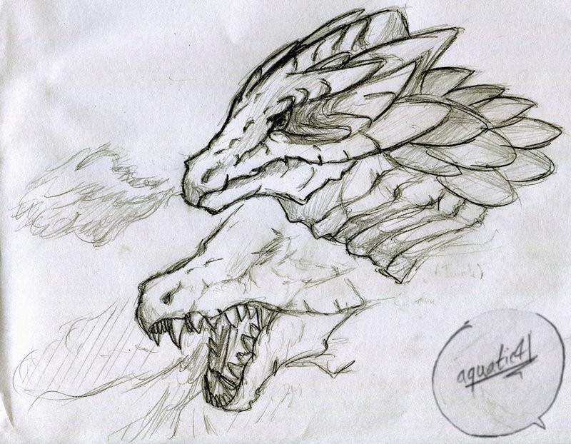 Dragon Head Drawings Wallpaper For Mobile Hq Background HD