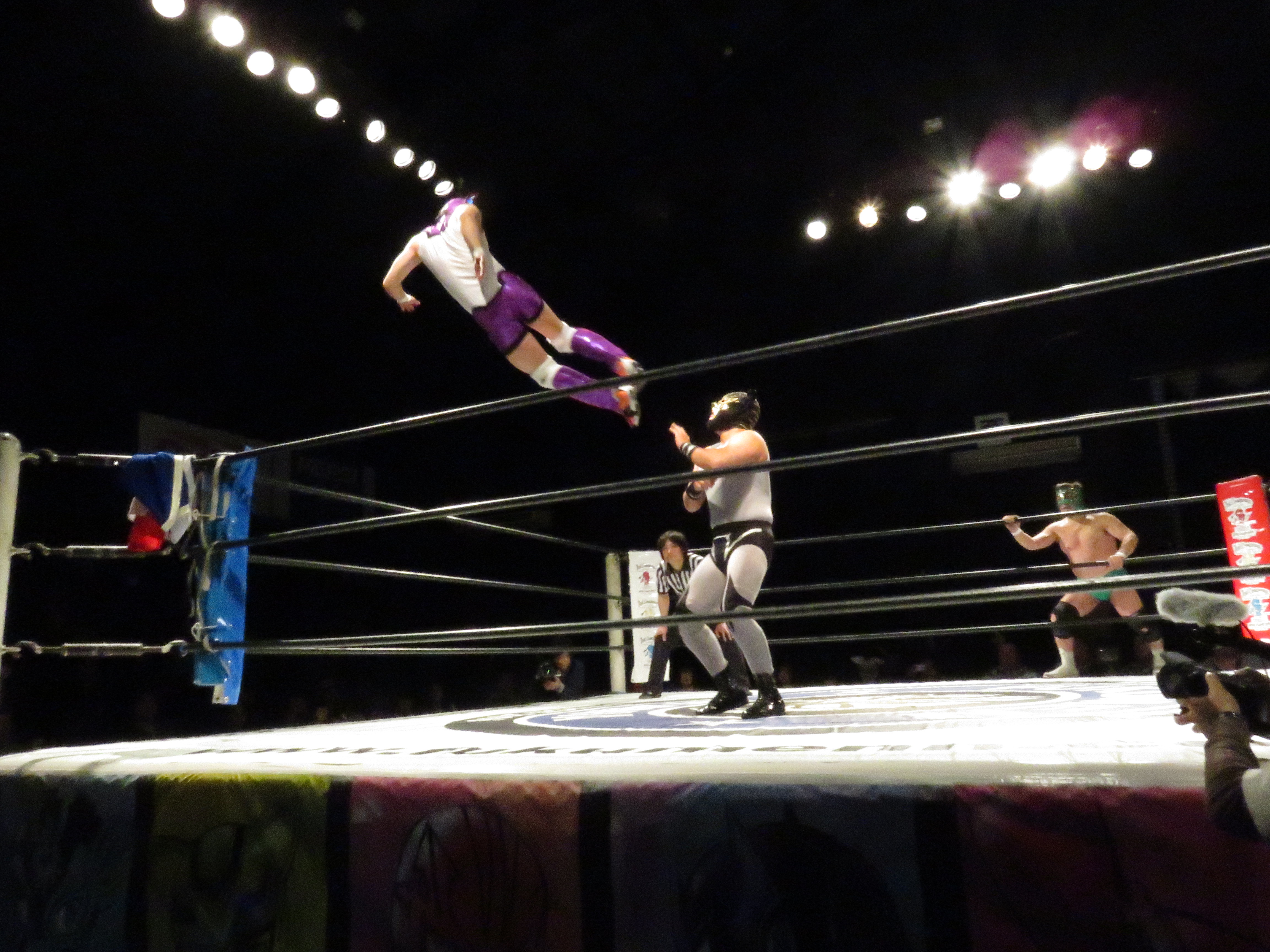 Pro Wrestling Wallpaper Video Game Hq Picture