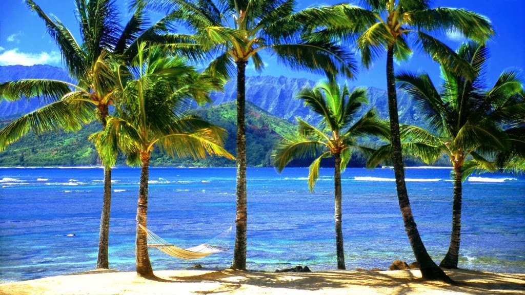 Hawaiian Desktop Wallpaper Hawaii Beach 1024x576eaw Jpg