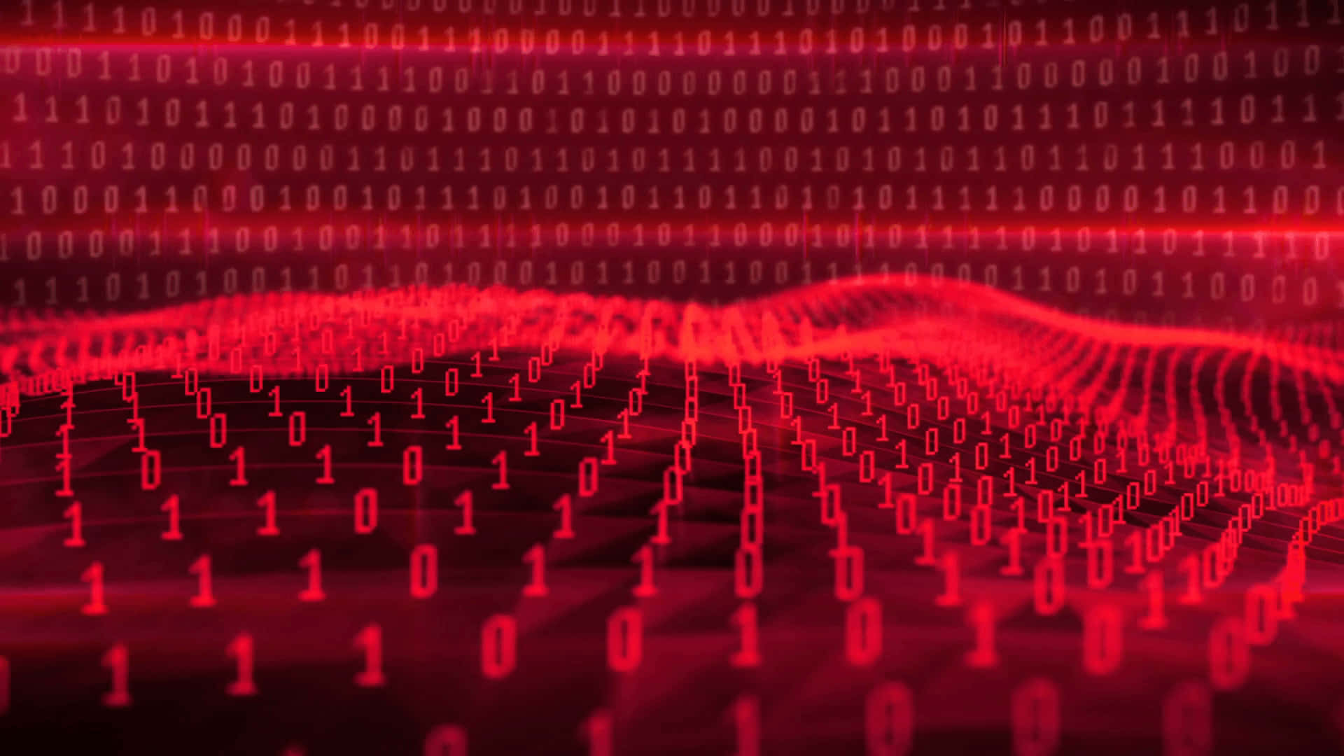 Binary Numbers Lined 4k79lktow4z4tpmp Wallpaper