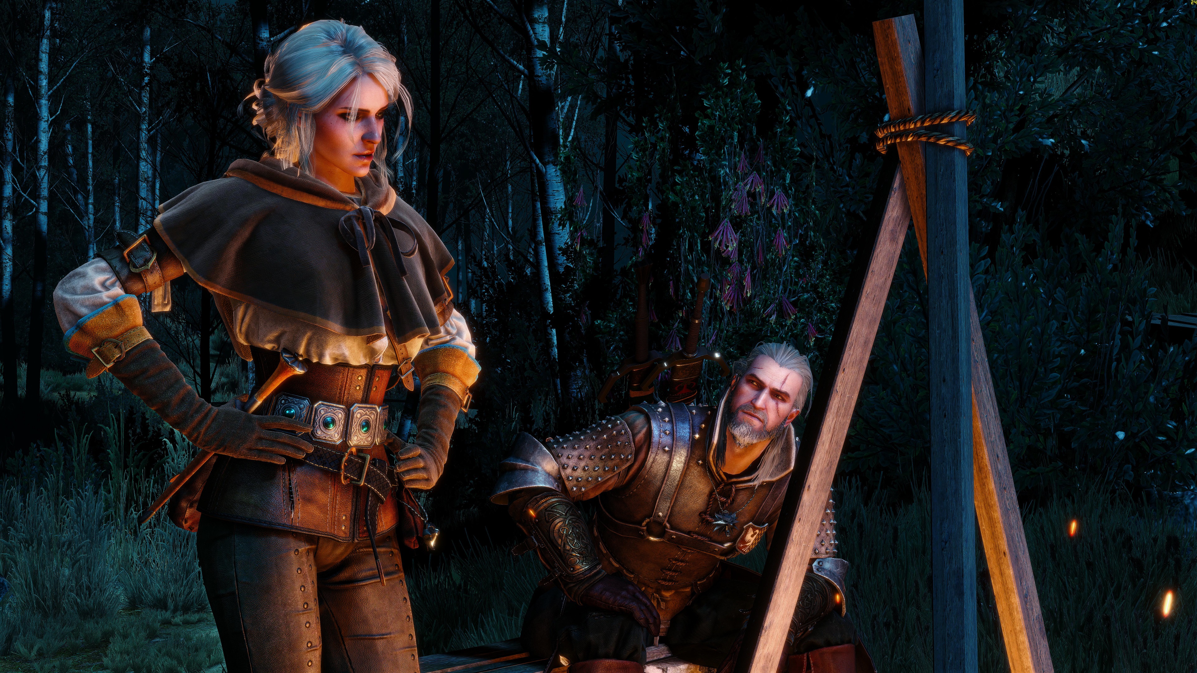 The Witcher Wild Hunt 4k Wallpaper HD Games Image