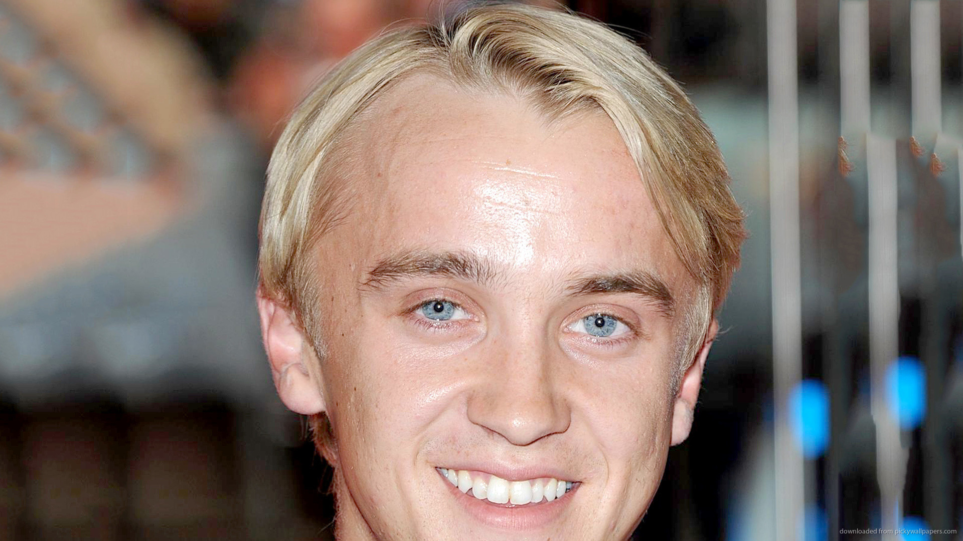 Tom Felton Wallpaper