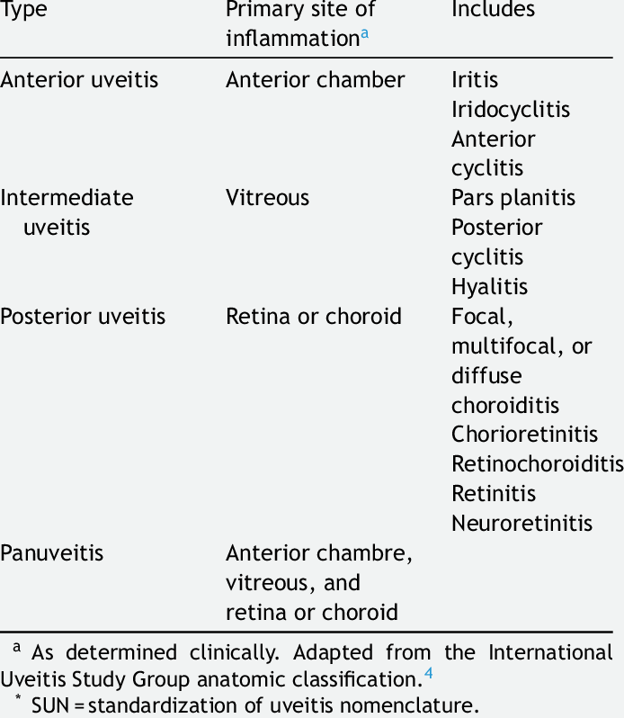 The Sun Working Group Anatomic Classification Of Uveitis