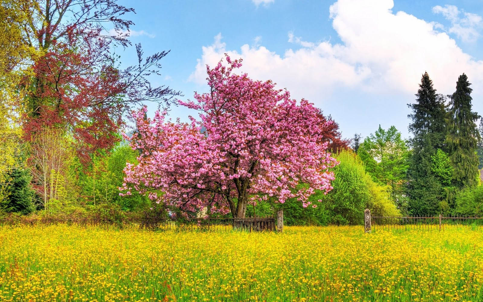 wallpapers Spring Desktop Wallpapers and Backgrounds