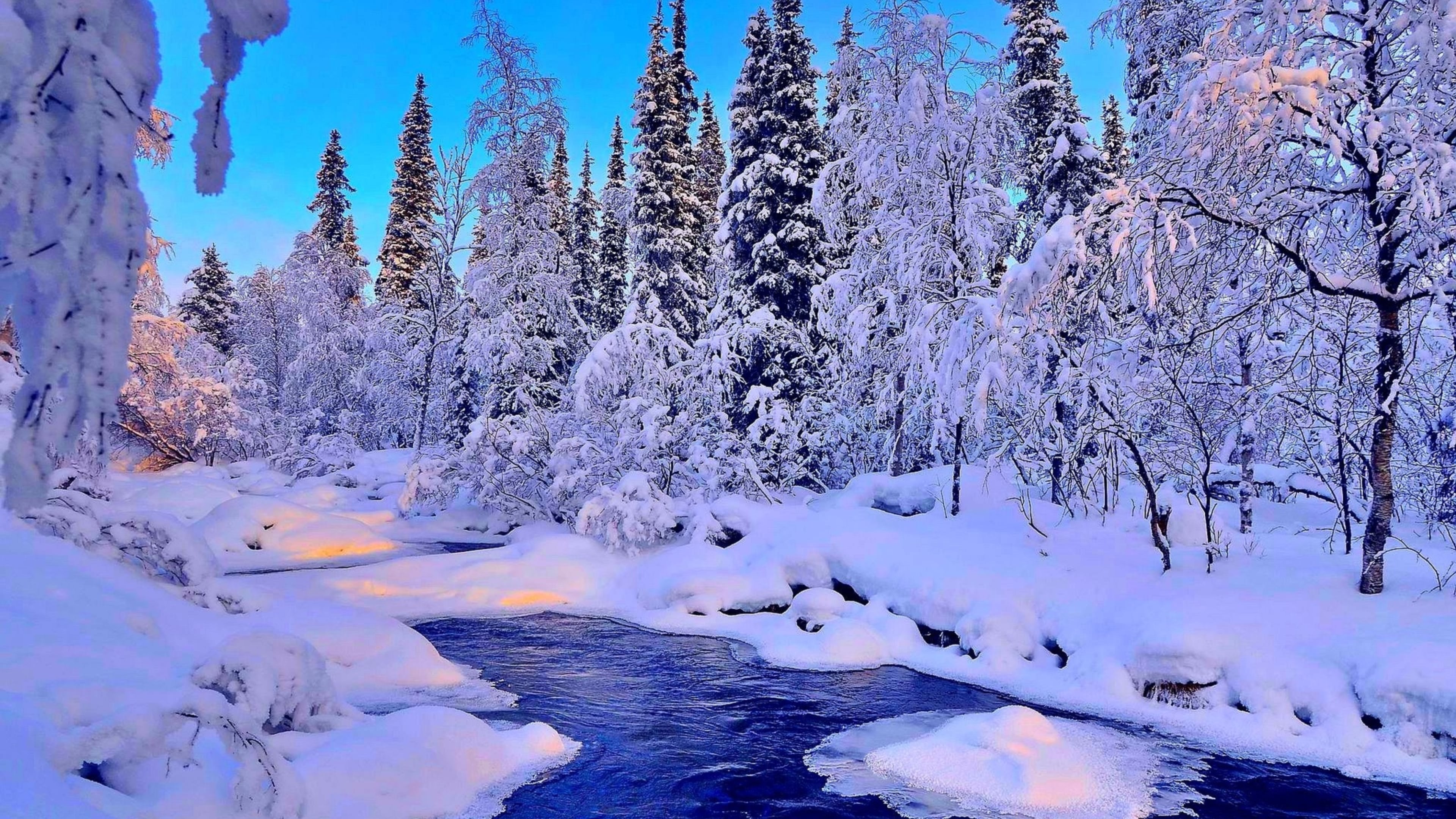 A breathtaking winter landscape with snow-covered trees and a flowing river