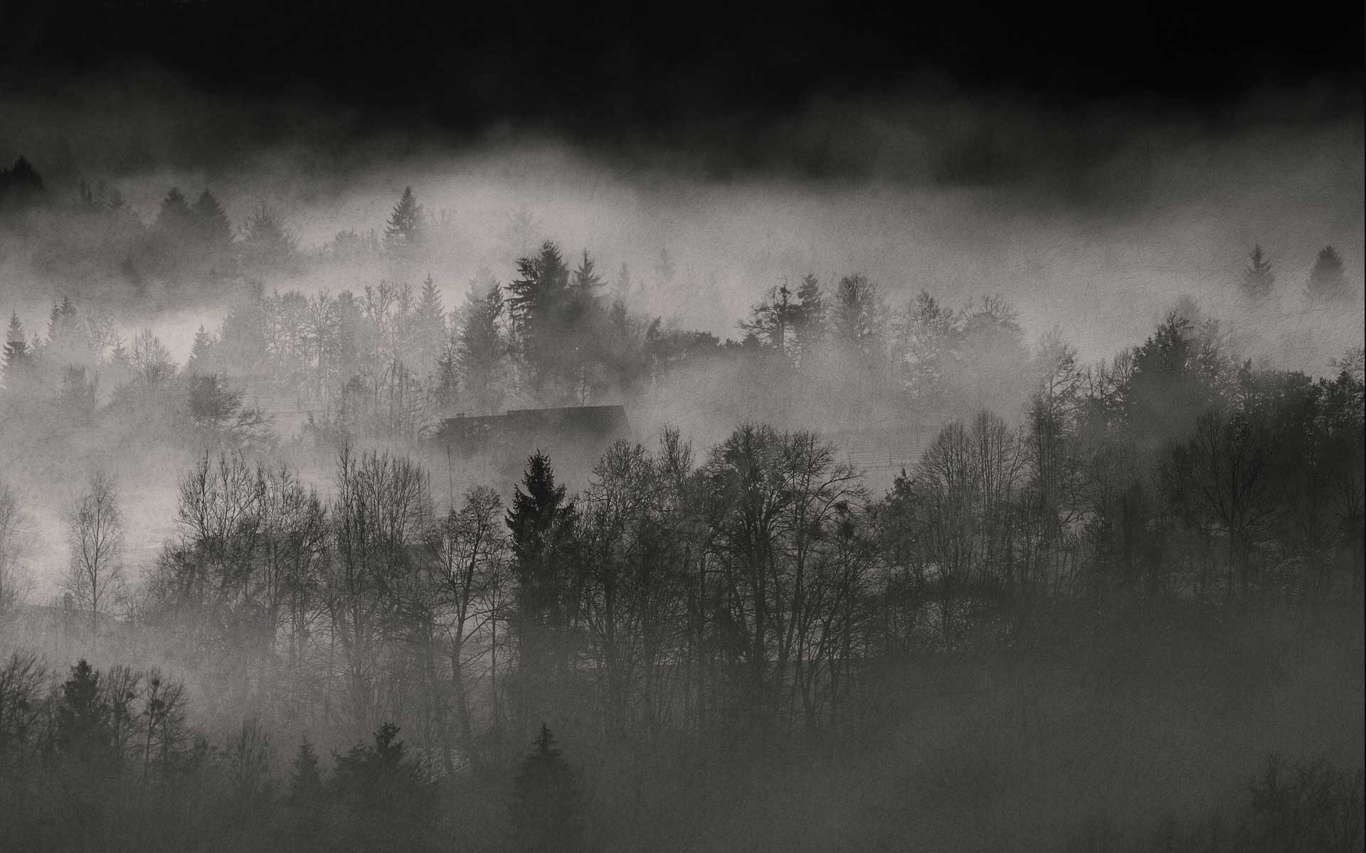 Misty Landscape Wallpaper