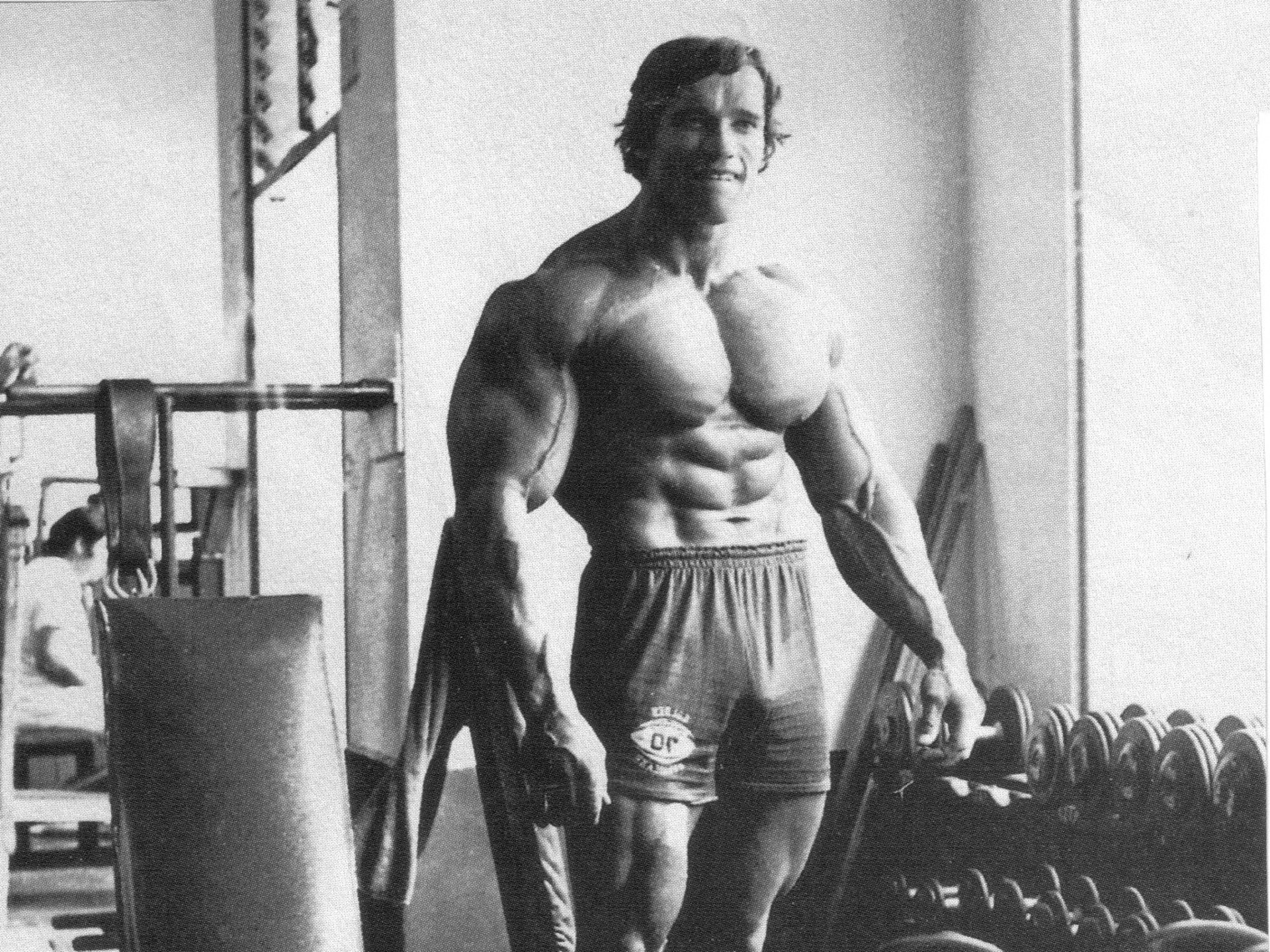 Arnold Wallpaper