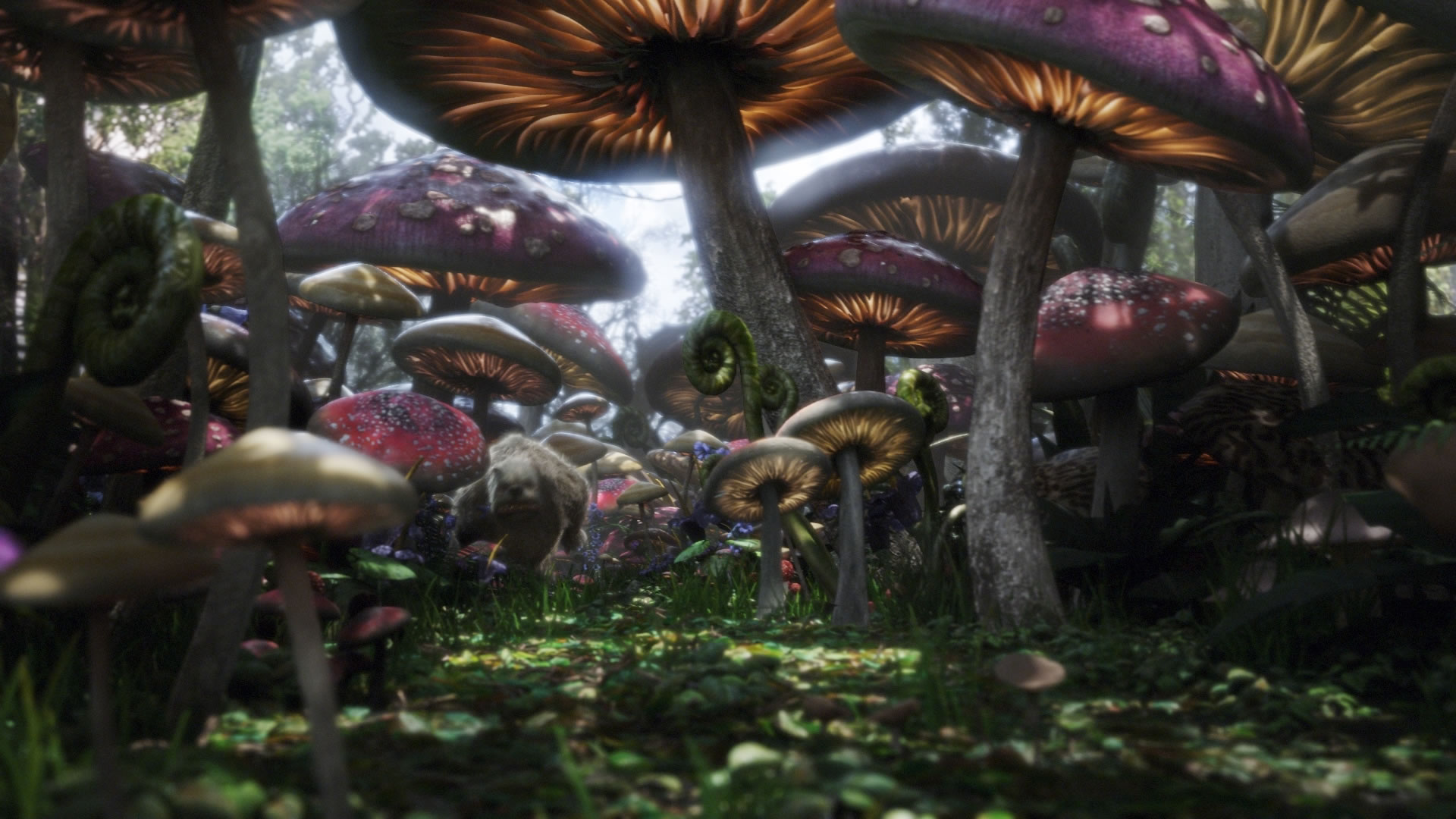 Alice In Wonderland Mushroom Wallpaper