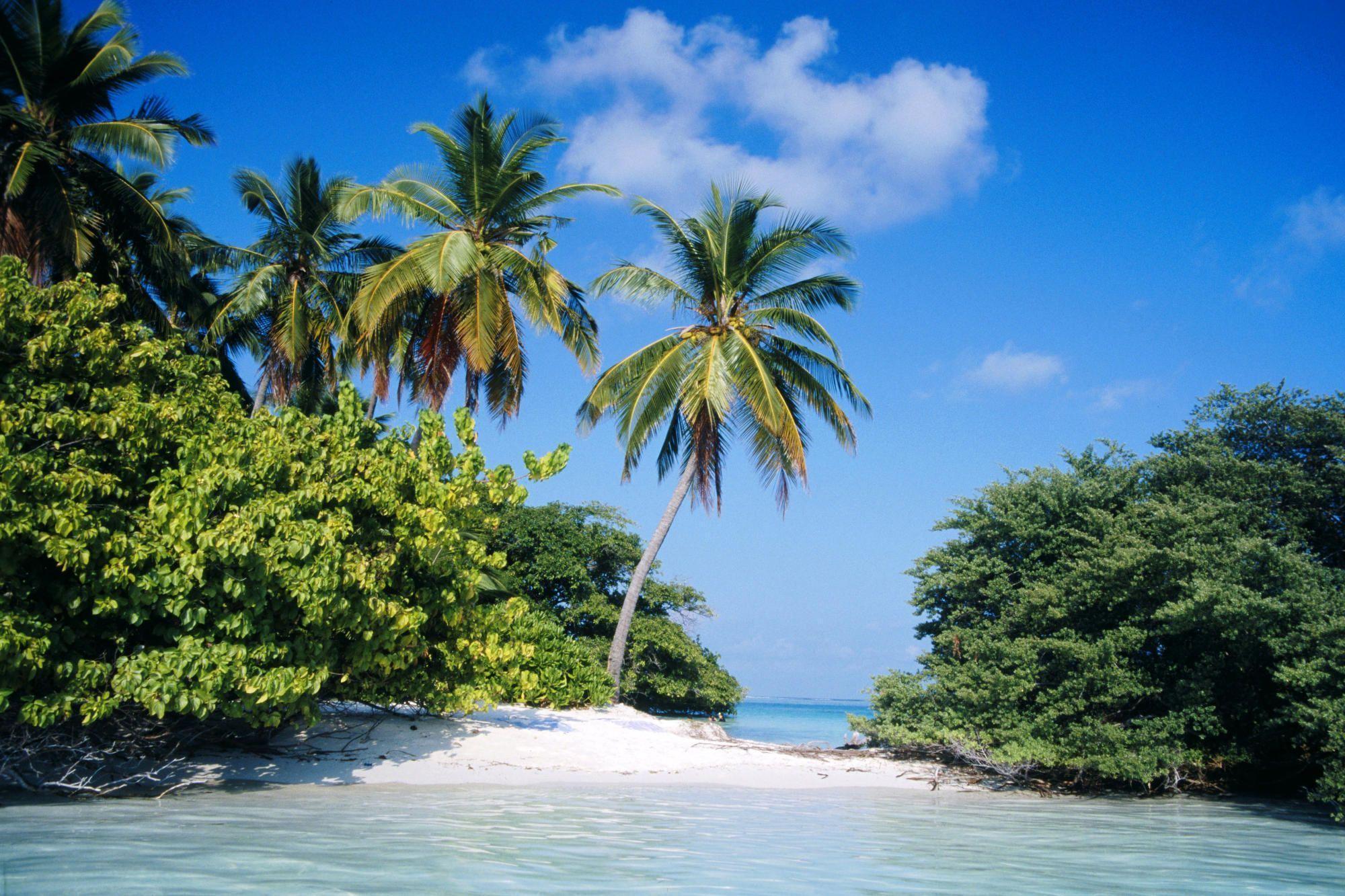 Tropical Island Desktop Wallpaper