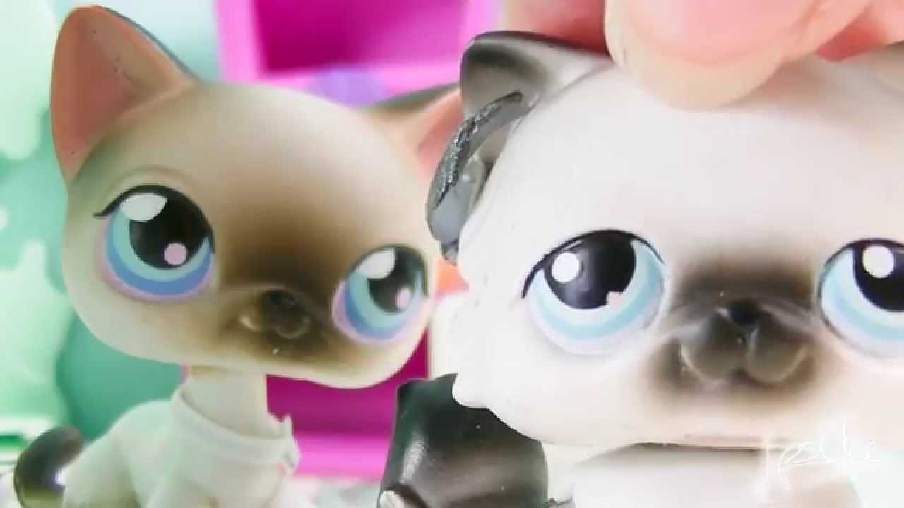 Lps Stuck Together Episode Ghost Hunters