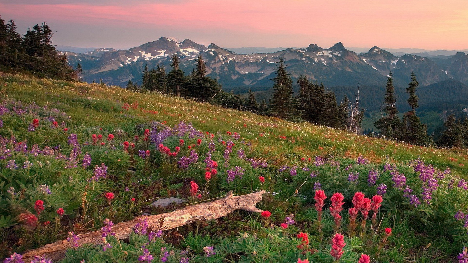 Summer Mountain Wallpaper