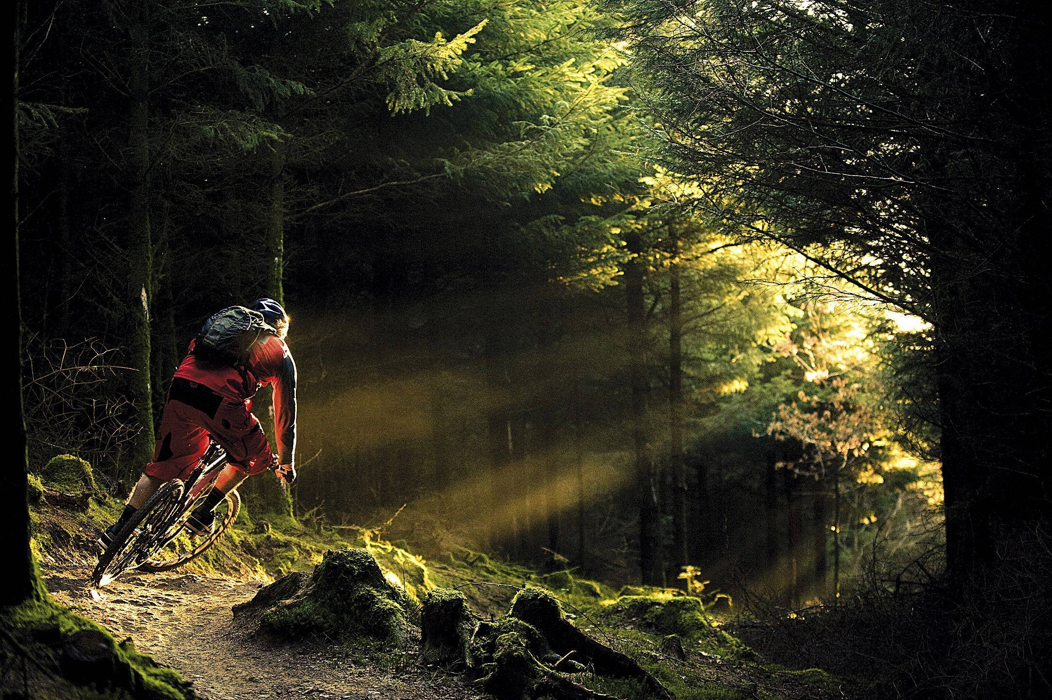 Mtb Rider Forest Sunlight Q0k9m6qqd5zag3s8 Wallpaper