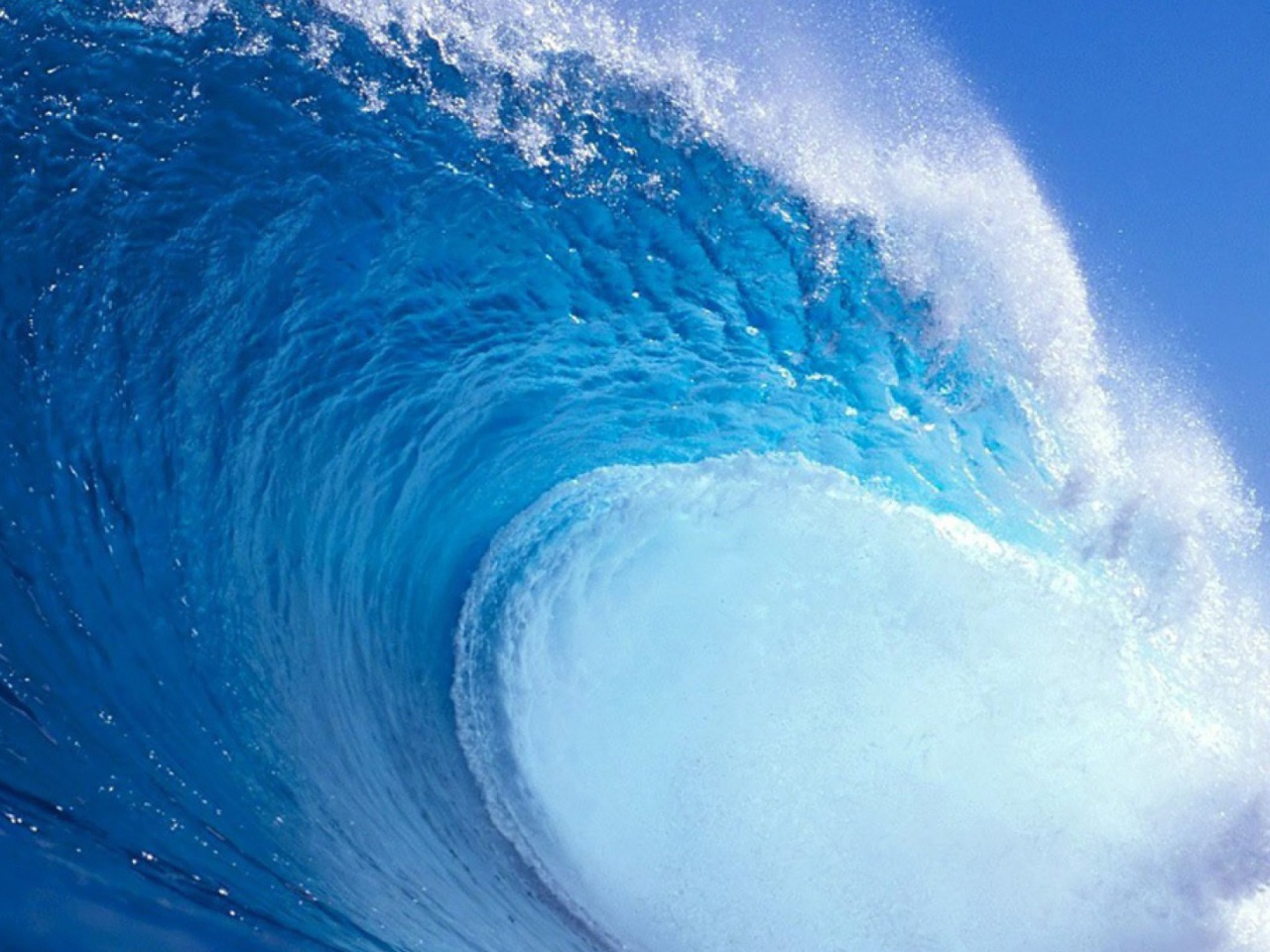 Surf Wave Screensaver Wallpaper