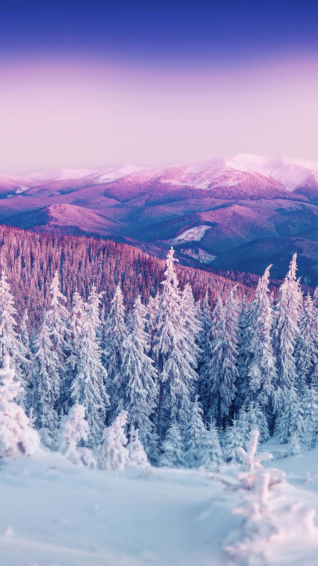 Let Nature Take The Lead And Explore Beauty Of Winter Season Wallpaper