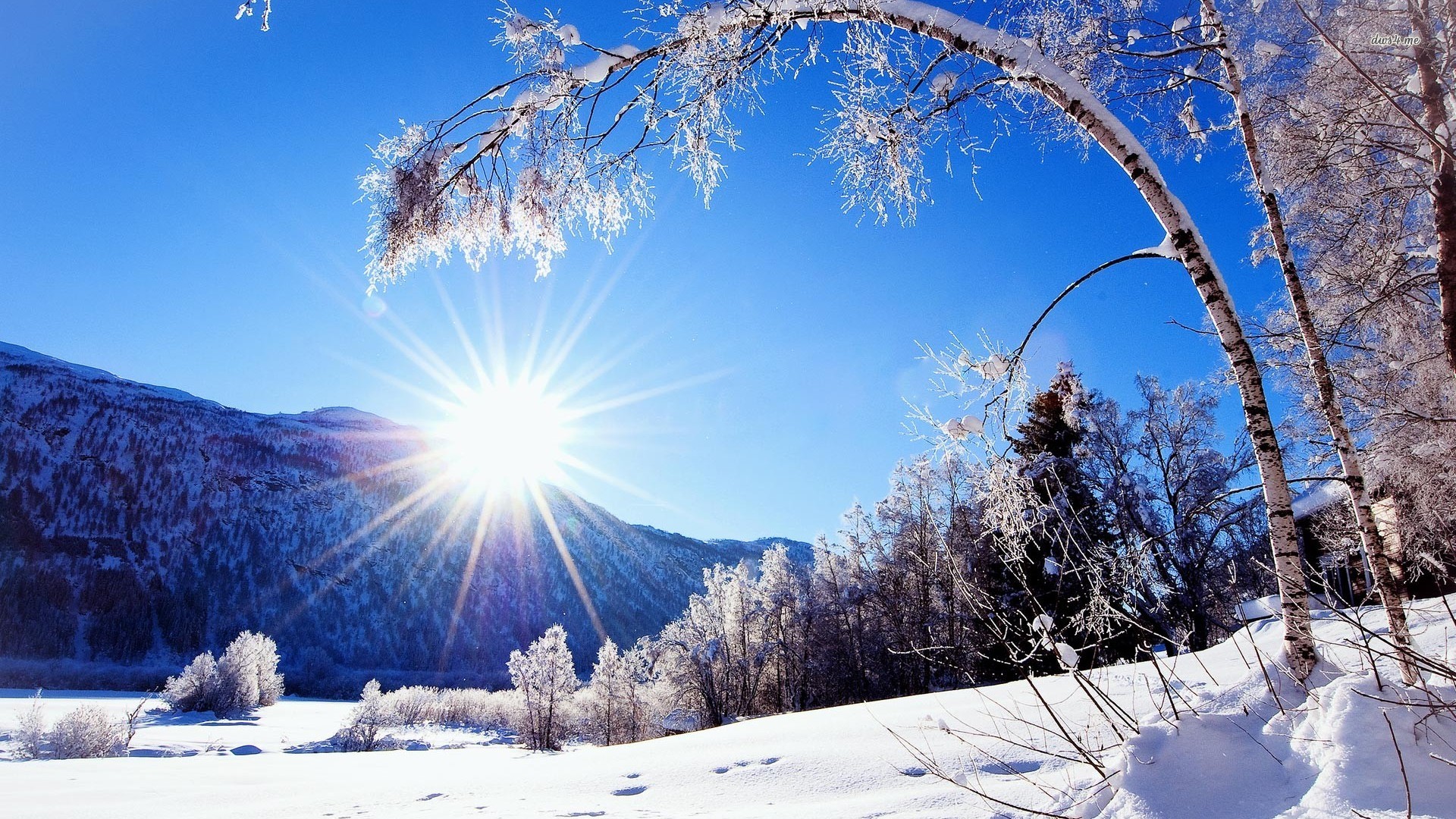 A breathtaking winter landscape with snow-covered trees, mountains, and a clear blue sky. The sun shines brightly, creating a picturesque winter scene
