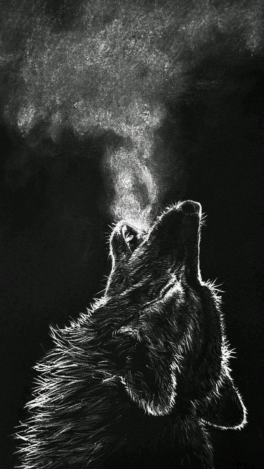 Cool Black Wolf Background Wallpaper