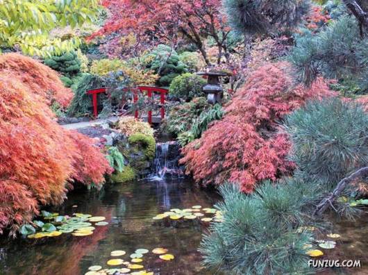 Fall at Butchart Gardens Victoria Canada Wallpapers pictures