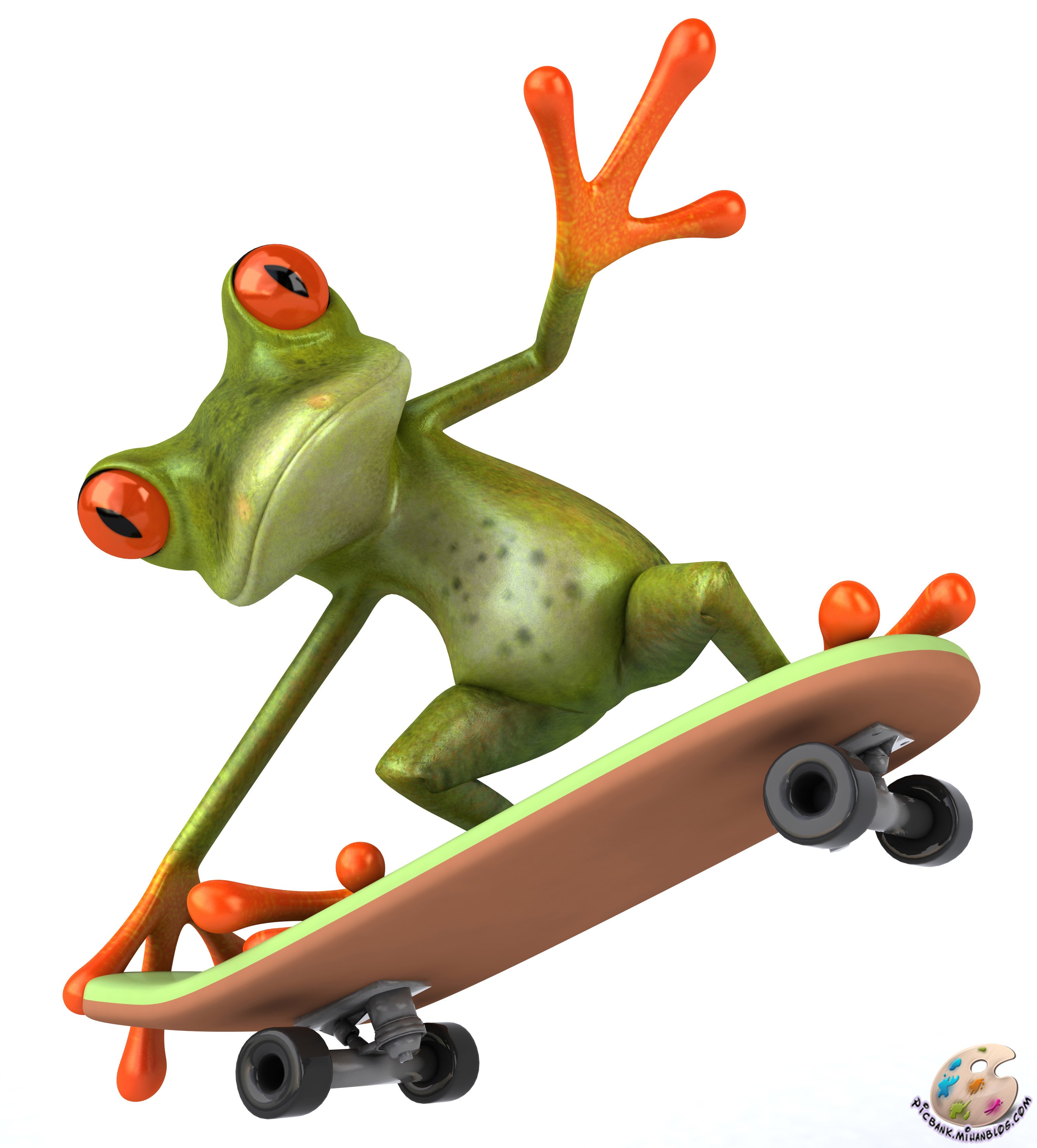 Funny Frogs Wallpaper wallpaperfunny frog