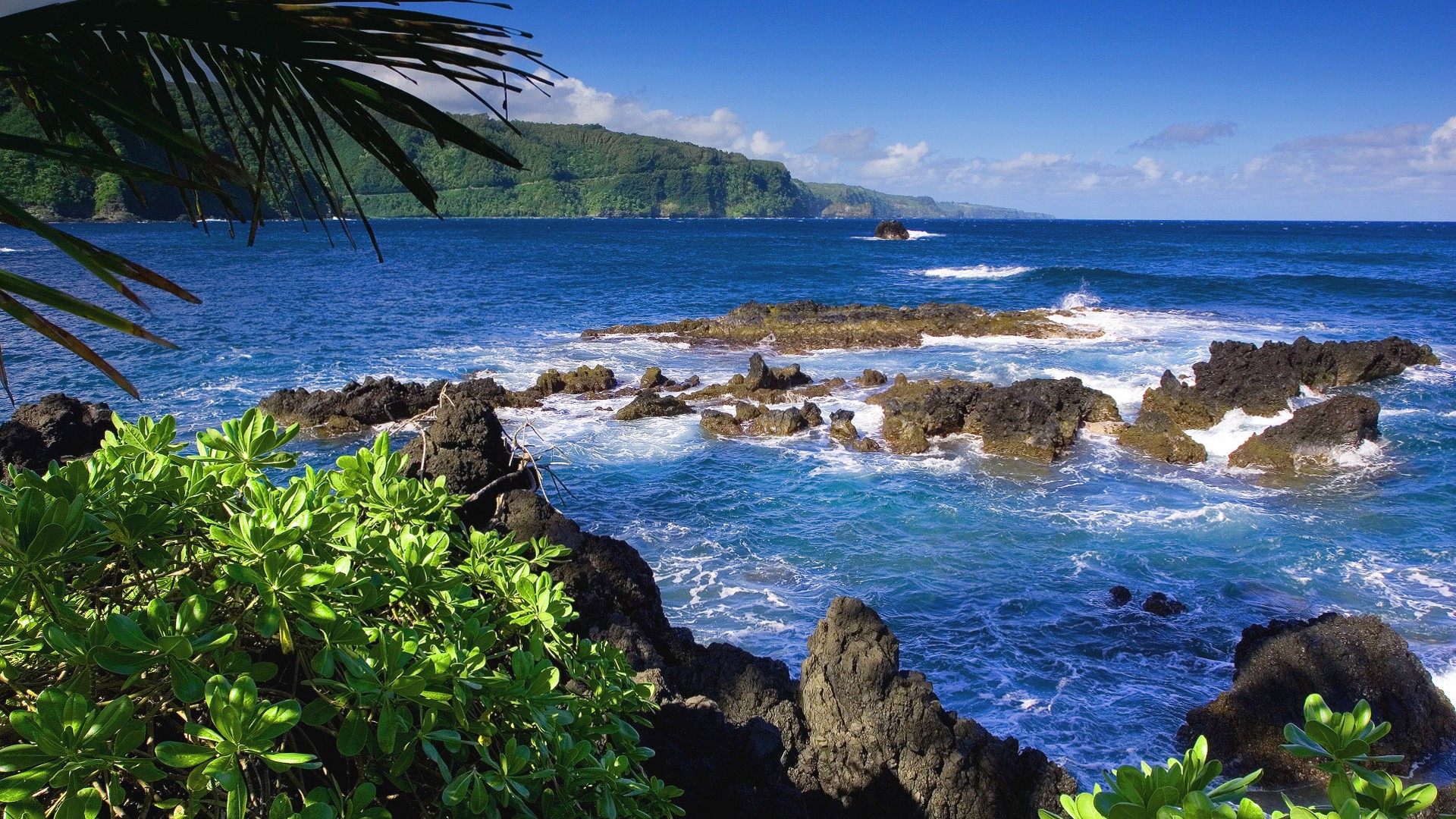 Download Hawaii SeaView Landscape Island US HD Wallpaper Search more
