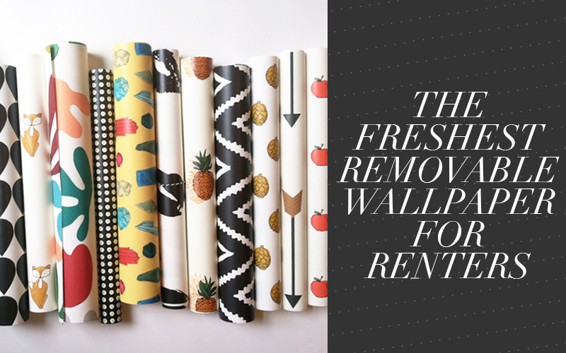  and Prints Removable Wallpaper for Renters So Fresh So Chic 800x500