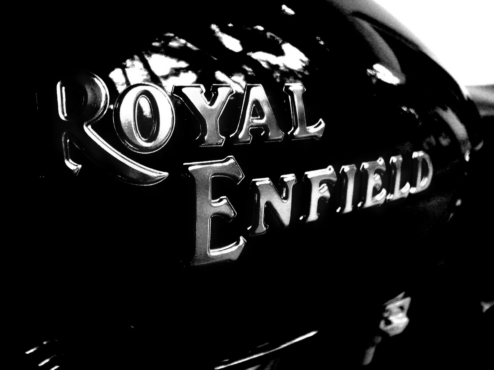 Royal Ride With Enfield