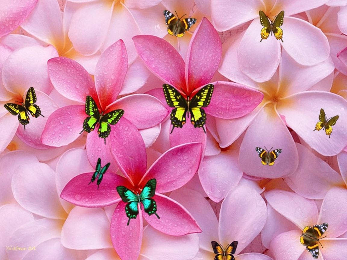 Cute Girly Wallpaper