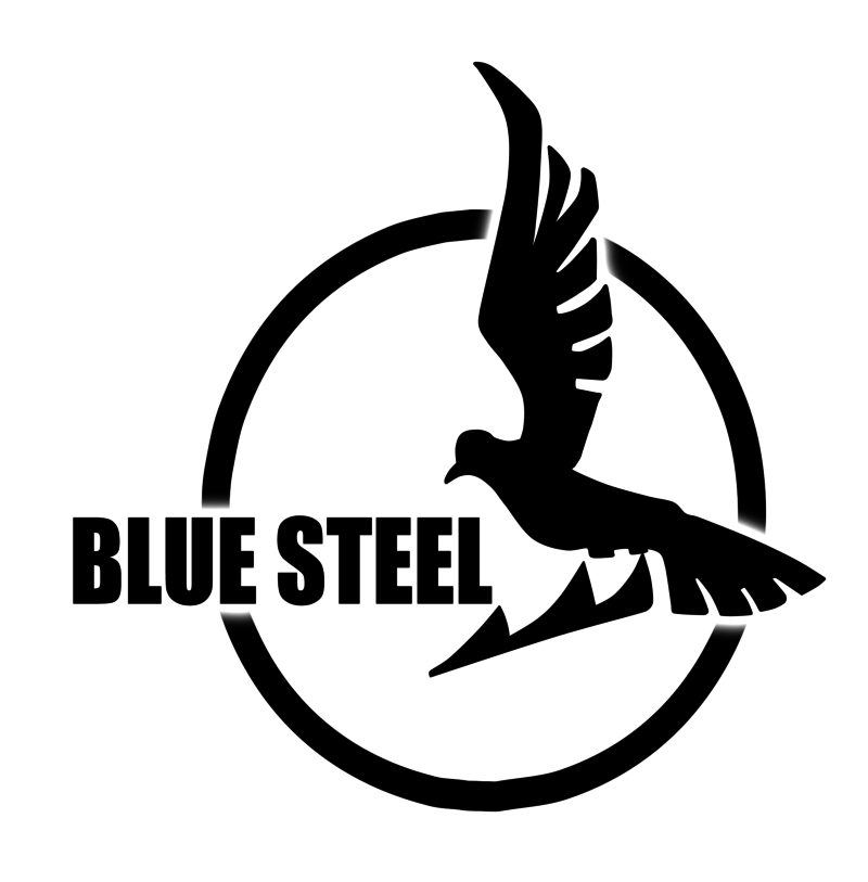 Blue Steel Arpeggio Logo By Saihamaru