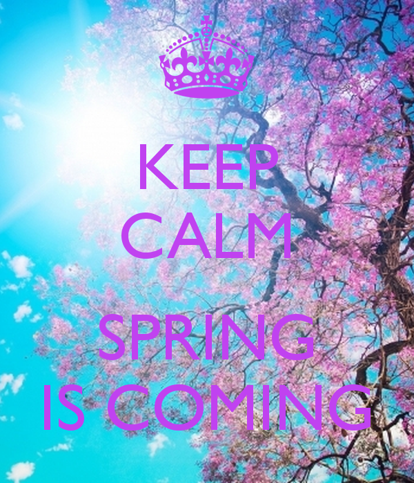 Keep Calm Spring Is Ing And Carry On Image Generator