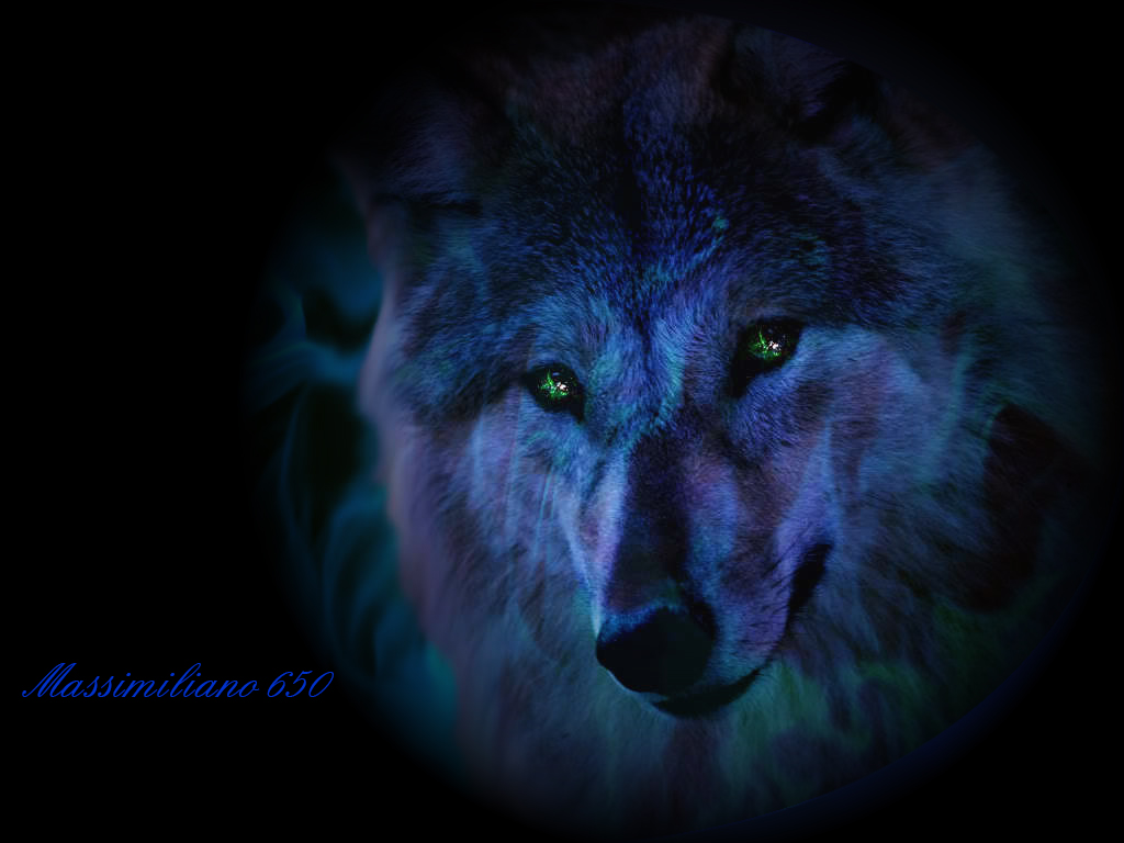 Cool Wolf Pictures Pic The Anubians