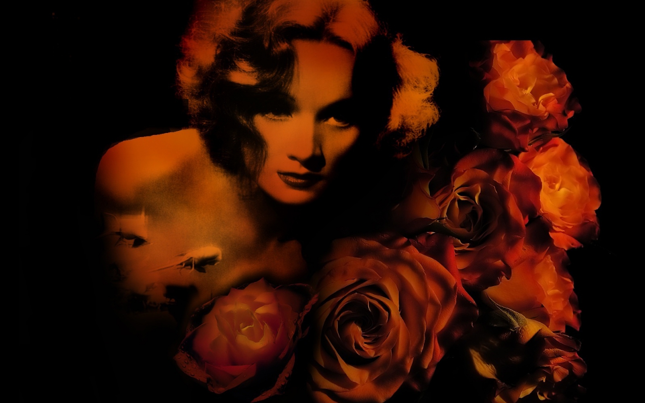 Marlene Dietrich Wallpaper And Background Image Id