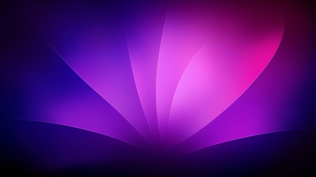 Beautiful Purple Background Background