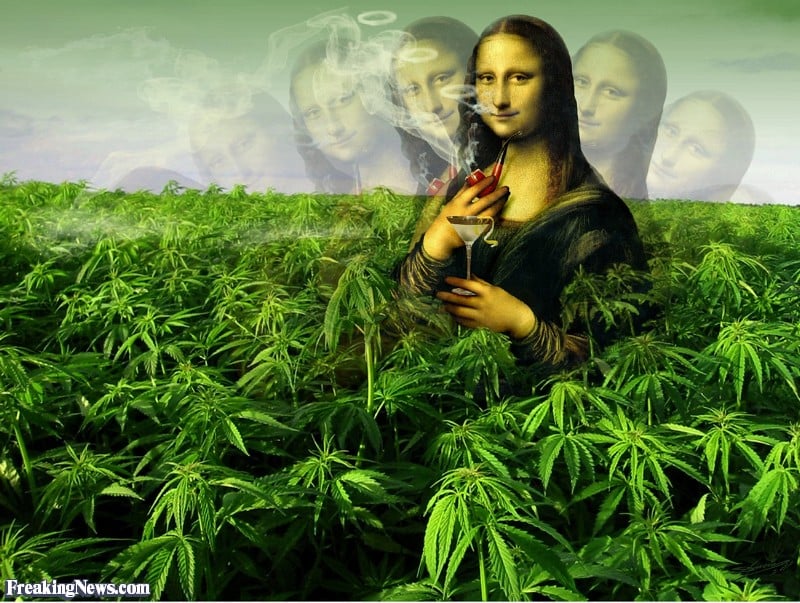 Funny Weed Cartoon Wallpaper Mona lisa in marijuana field 800x603. 