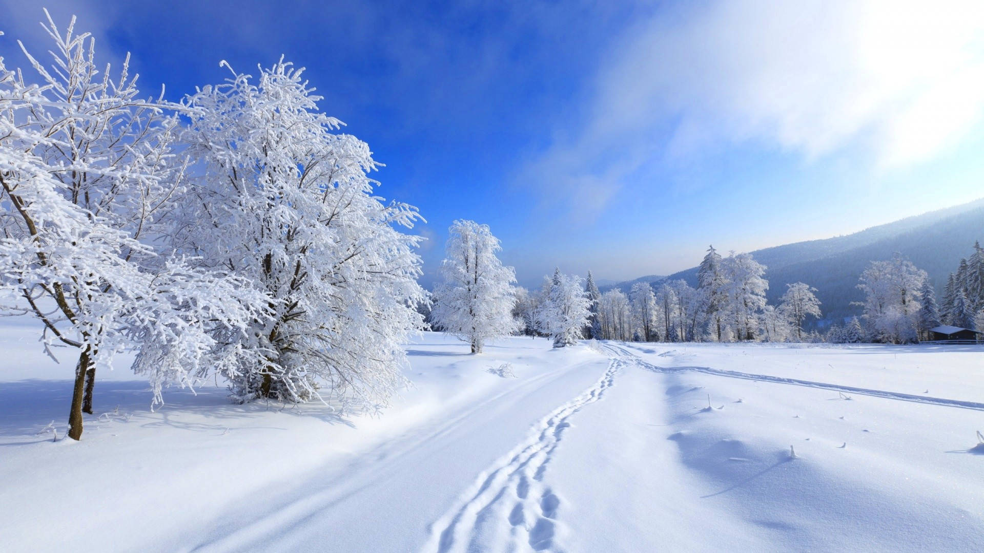 Winter Desktop Wallpaper
