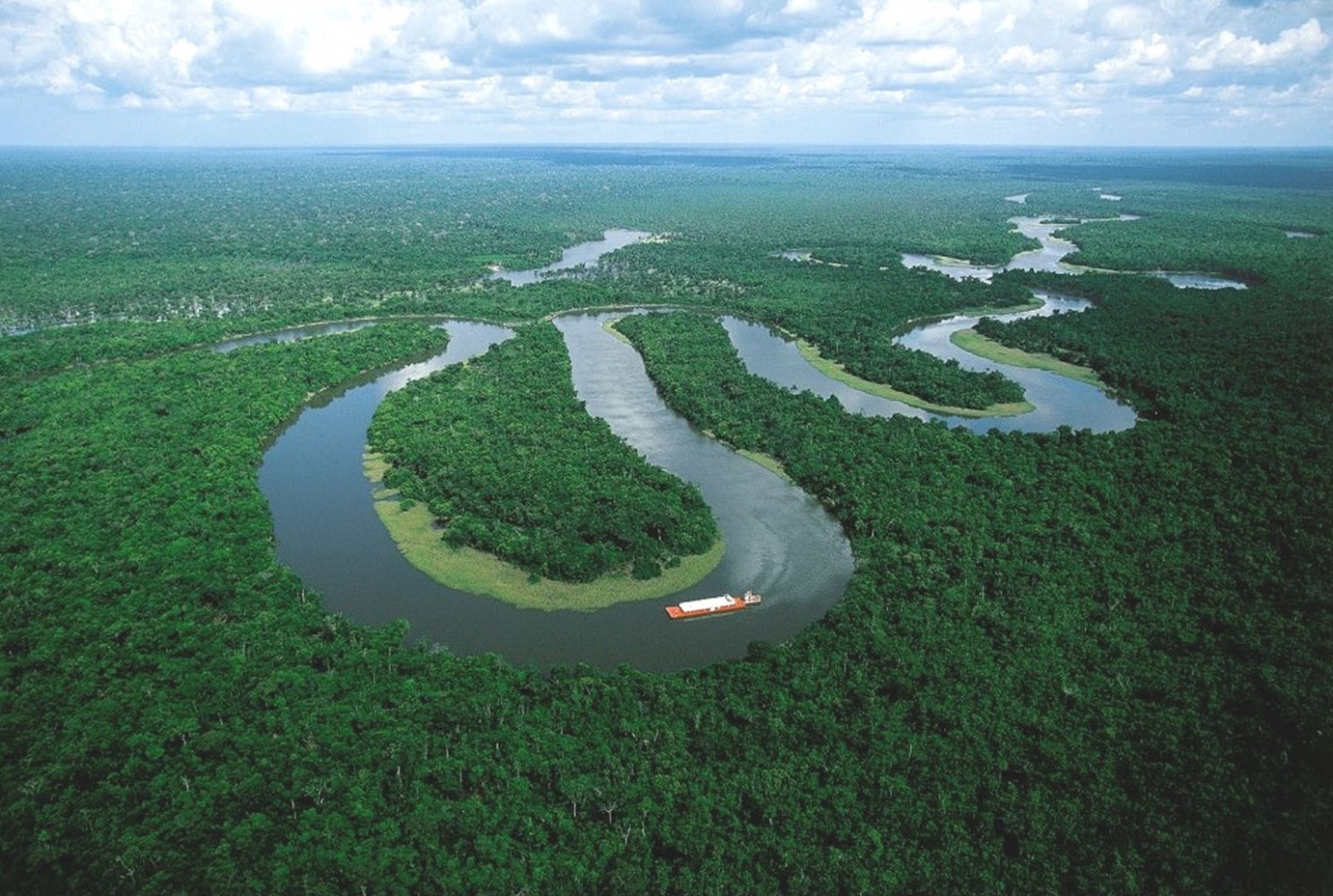 Amazon River Near Manaus Brazil HD Wallpaper